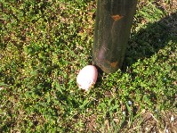 IMG_0268[1].jpg
